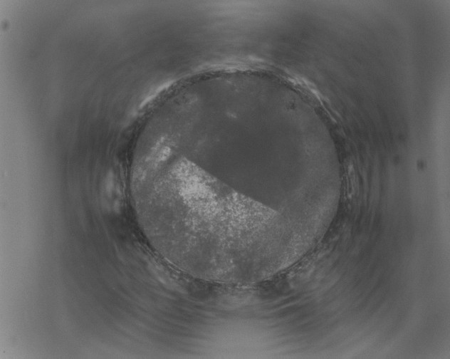 X0000077391158200611031954