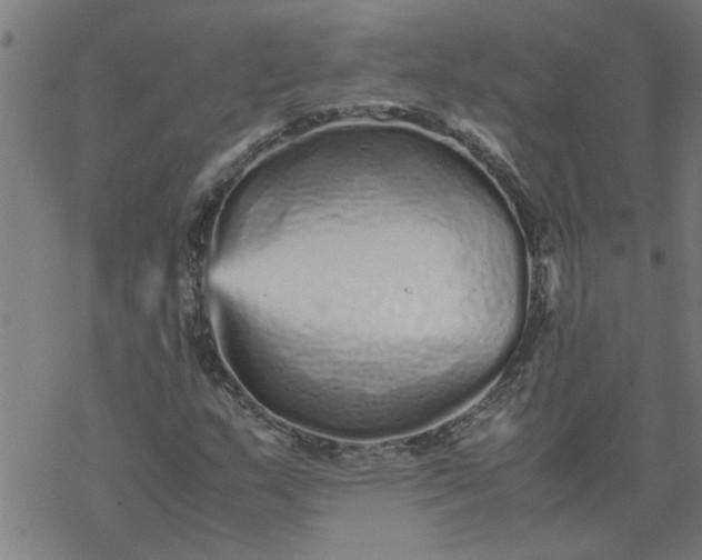 X0000077391159200611031954