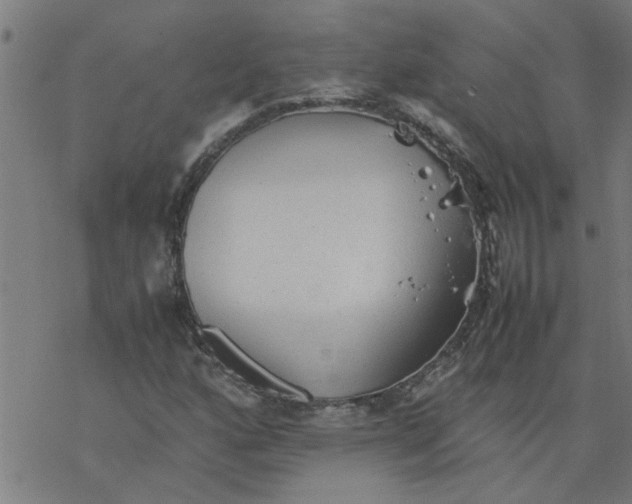 X0000077391160200611031954