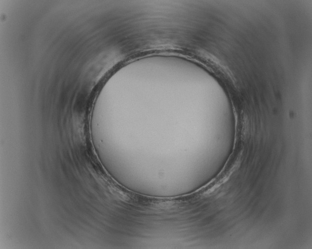 X0000077391162200611031954