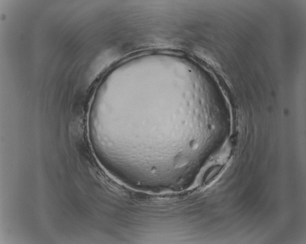 X0000077391163200611031954