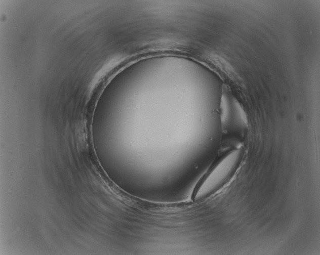 X0000077391164200611031954