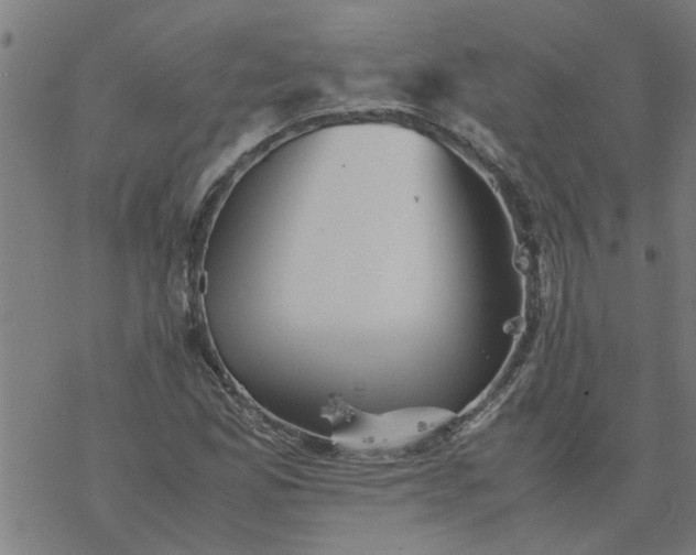 X0000077391165200611031954