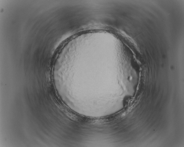 X0000077391166200611031954