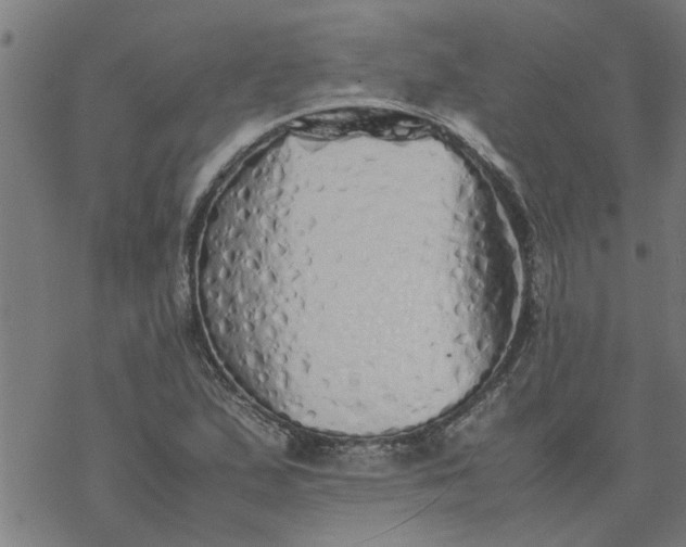 X0000077391167200611031954