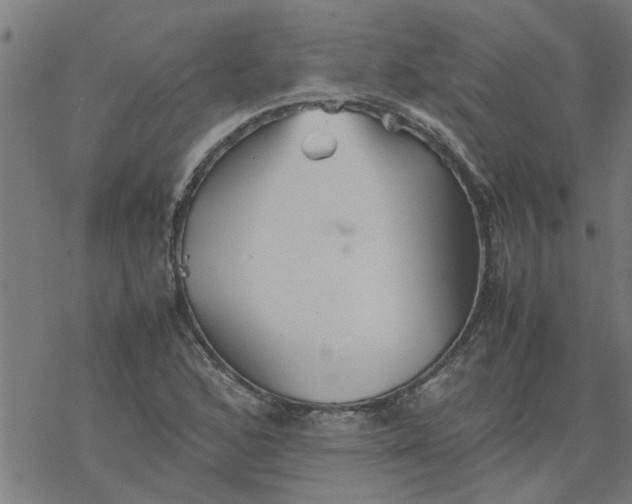 X0000077391168200611031954