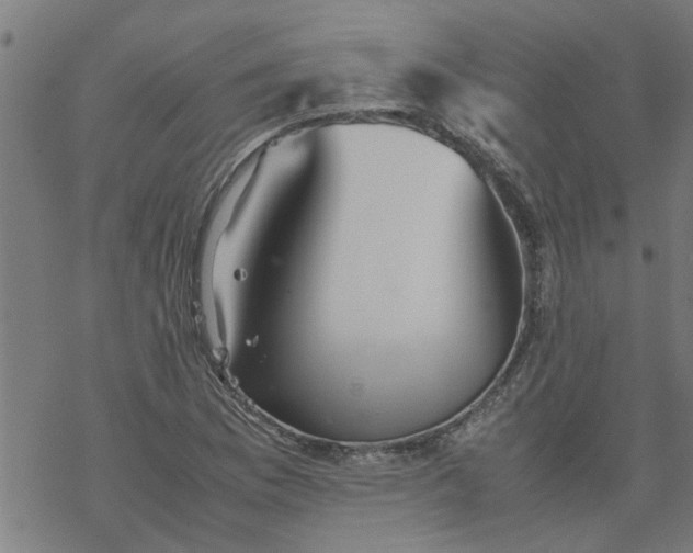 X0000077391169200611031954