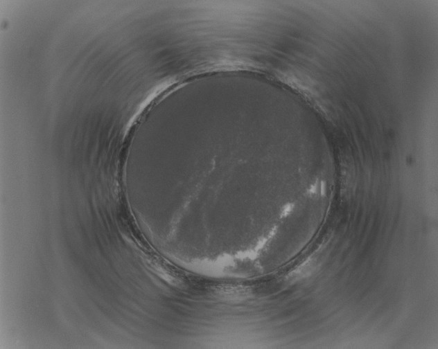 X0000077391170200611031954