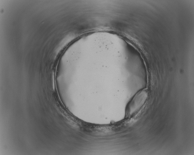 X0000077391171200611031954