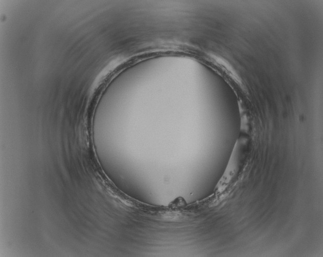 X0000077391172200611031954