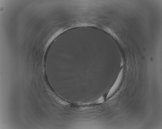 X0000077391173200611031954