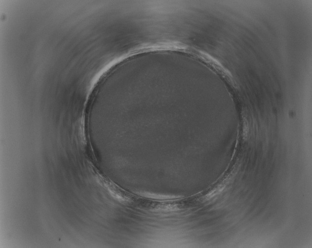 X0000077391174200611031954