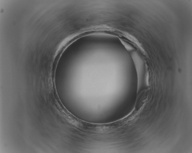 X0000077391176200611031954