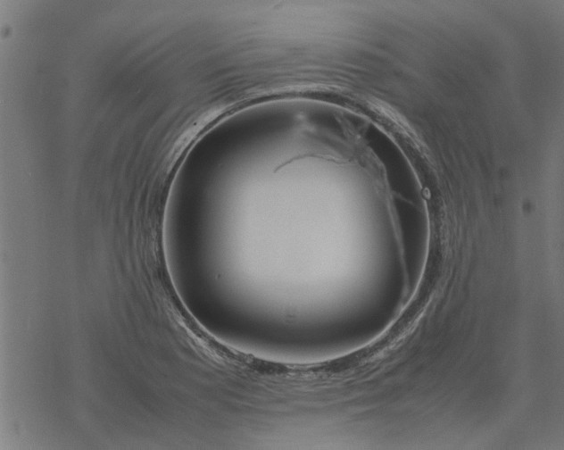 X0000077391177200611031954