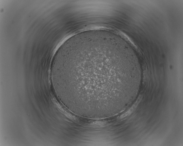 X0000077391178200611031954