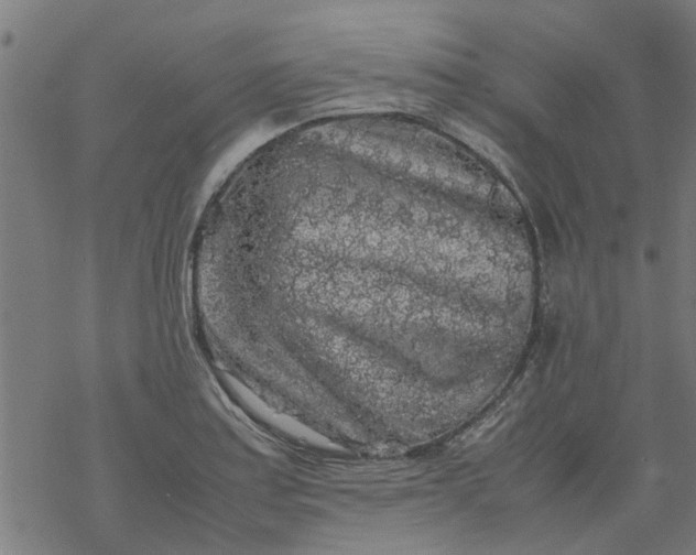 X0000077391179200611031954