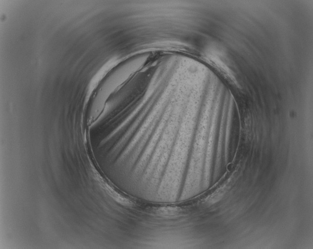 X0000077391180200611031954