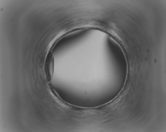 X0000077391181200611031954