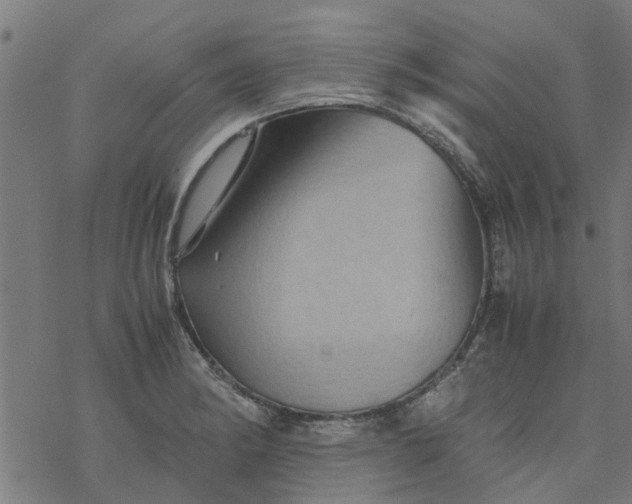 X0000077391182200611031954