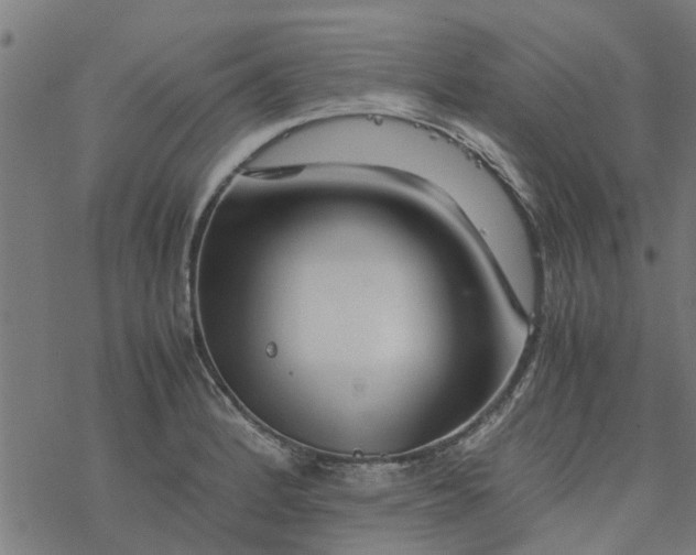 X0000077391184200611031954