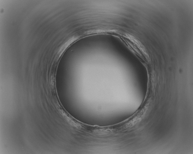 X0000077391185200611031954