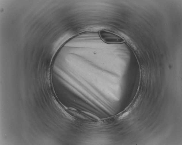 X0000077391186200611031954