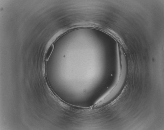 X0000077391188200611031954