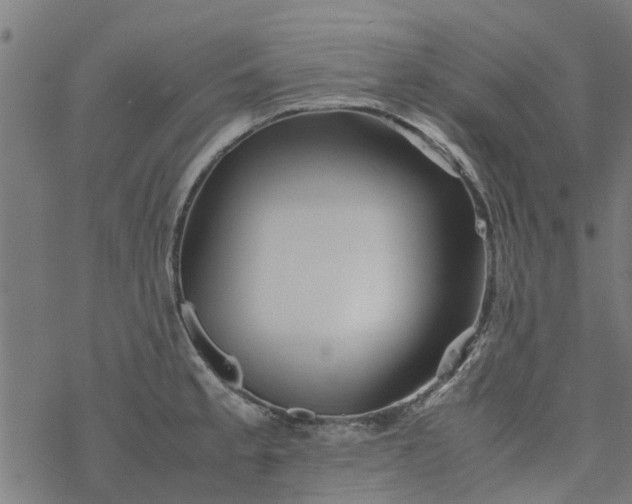 X0000077391189200611031954