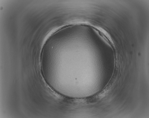 X0000077391191200611031954