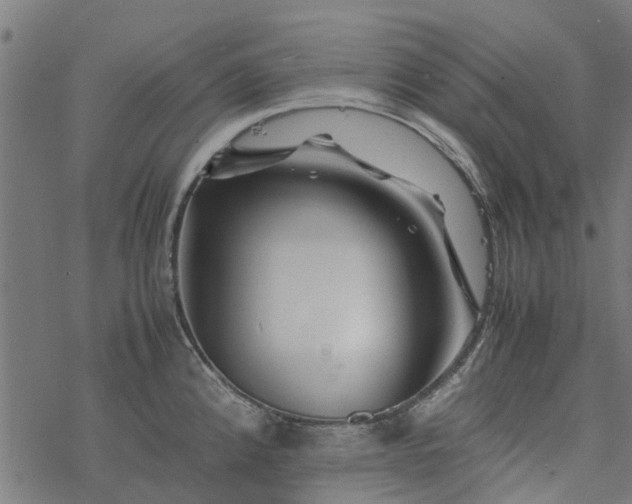 X0000077391192200611031954