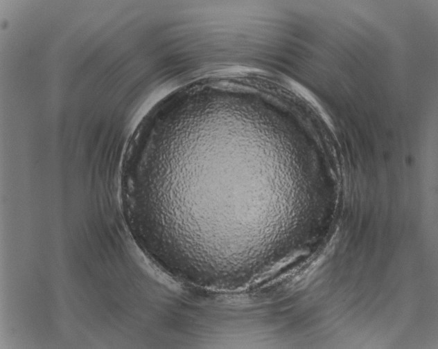 X0000077391194200611031954