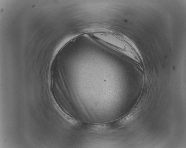 X0000077391195200611031954