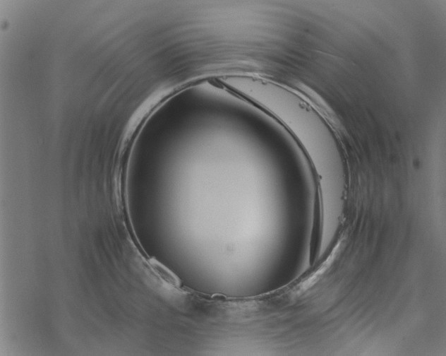 X0000077391196200611031953