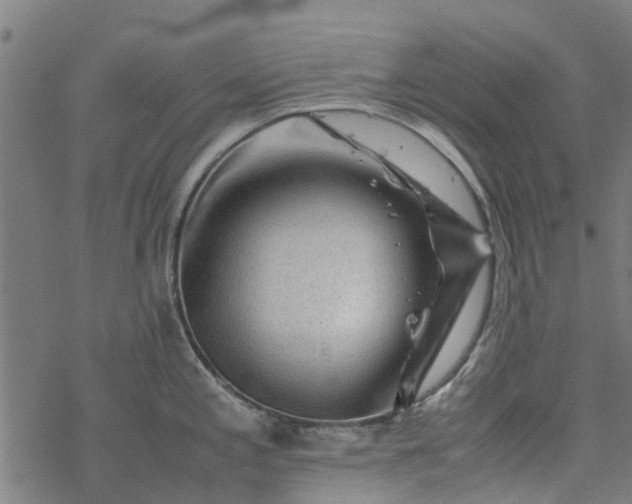 X0000077391197200611031953