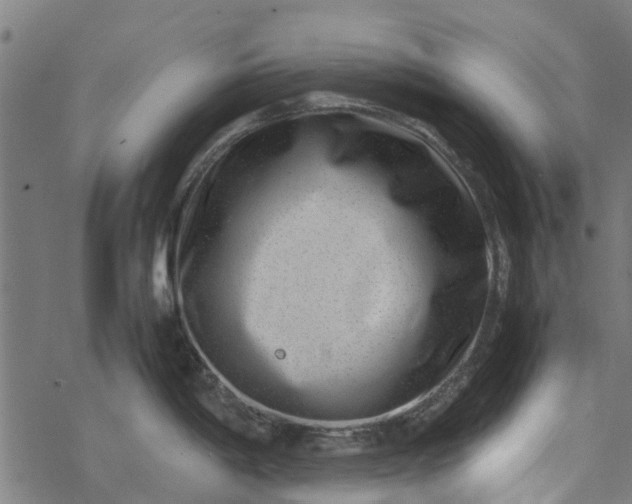 X0000077391198200611031953