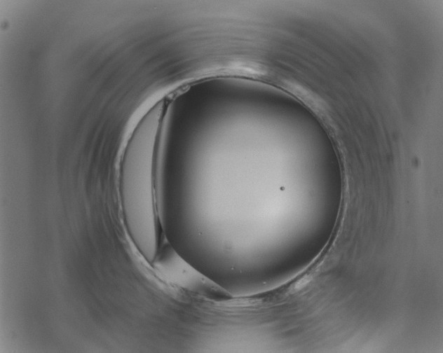 X0000077391200200611031953