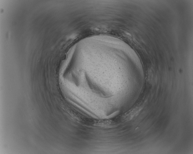 X0000077391201200611031953