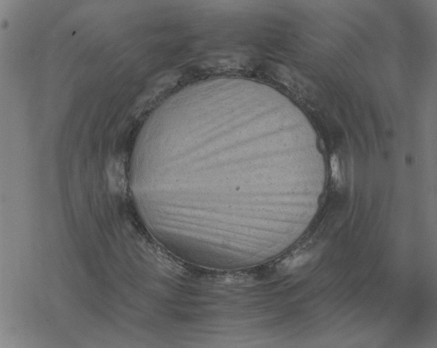 X0000077391203200611031953