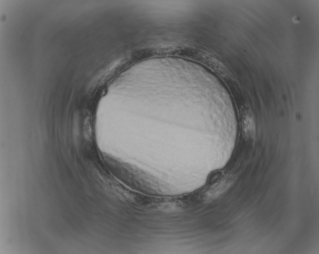 X0000077391204200611031953