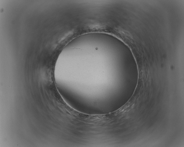 X0000077391205200611031953