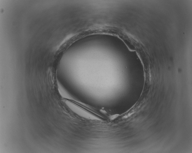 X0000077391206200611031953