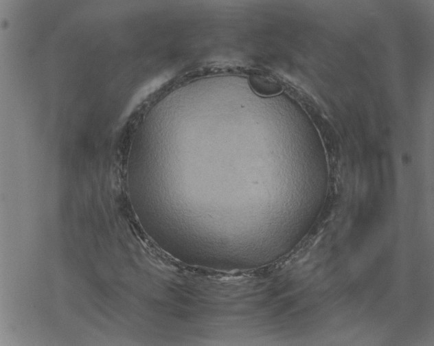 X0000077391207200611031953