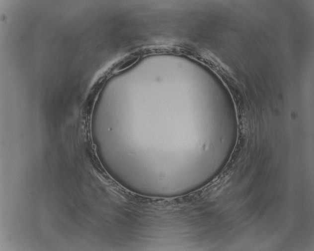 X0000077391208200611031953