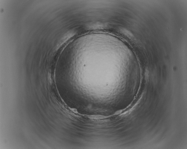 X0000077391209200611031953