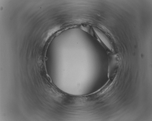 X0000077391210200611031953