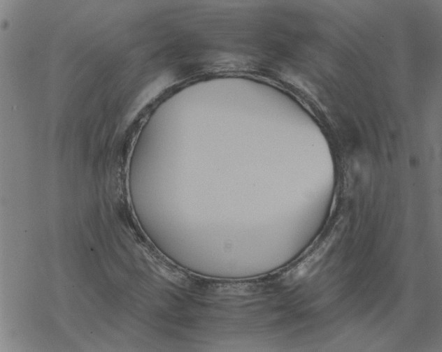 X0000077391211200611031953