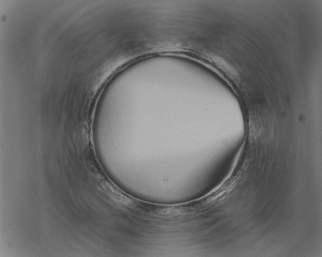 X0000077391212200611031953