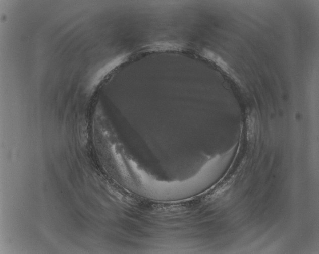 X0000077391213200611031953