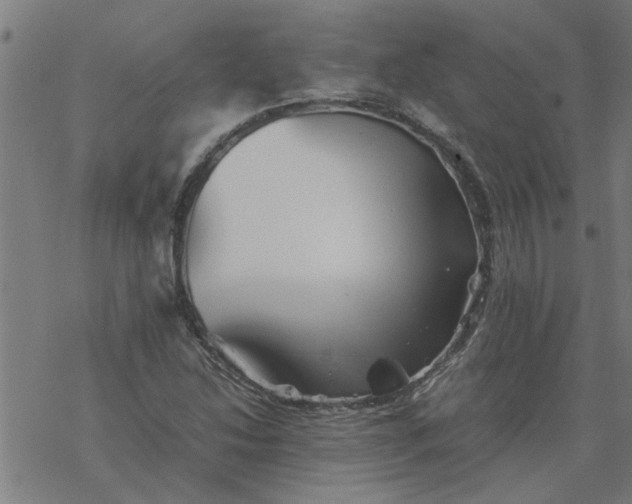 X0000077391214200611031953