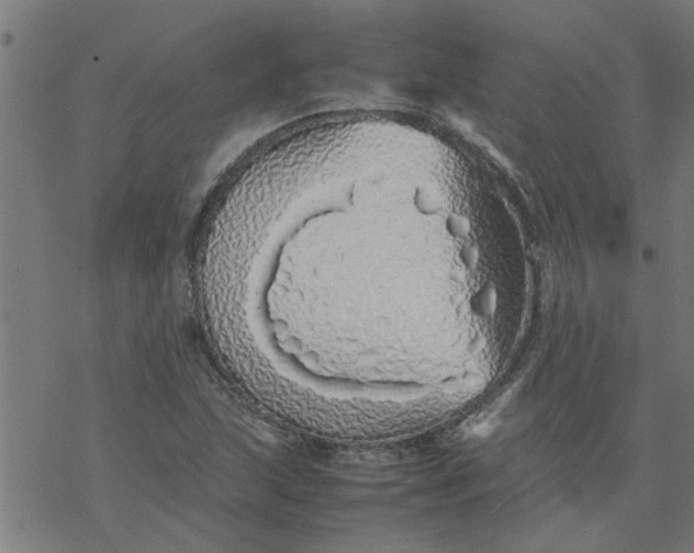 X0000077391215200611031953